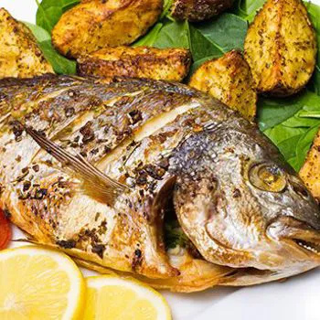 Sea bass / bream grilled